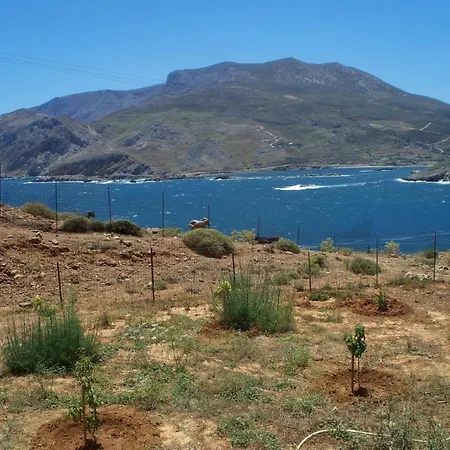 Πανσιόν Lalarous & 4*